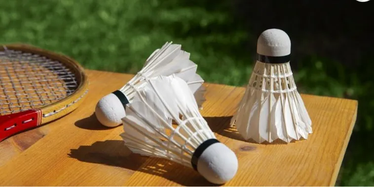 Tuyệt Chiêu Cách Chơi Cá Cược Cầu Lông Tại Rubik88 Hiệu Quả Nhất